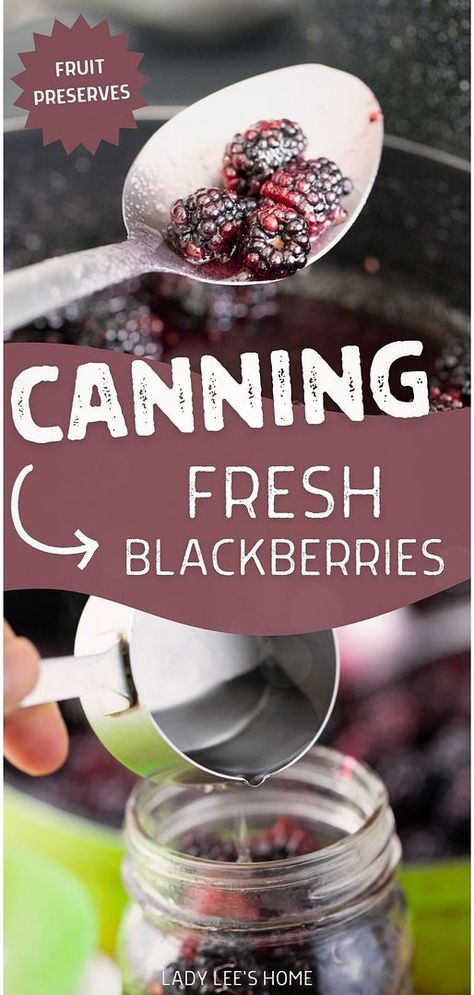 Enhance your Fruit Preserves collection with canning fresh blackberries. Preserve fresh blackberries at their peak using water bath canning. Ideal for creating delicious cobblers, pies, and other summer treats. Learn the steps to can these berries for year-round enjoyment. Find more water bath canning recipes, blackberry recipes, and preserving food recipes at ladyleeshome.com. Blackberry Canning Recipes, Canned Blackberries, Canning Blackberries, Fruit In Jars, Canning Fruit Recipes, Canning Pickles Recipe, Berry Syrup, Preserving Fruit, Water Bath Canning Recipes