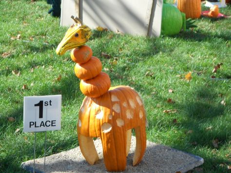 giraffe Giraffe Pumpkin, Creative Pumpkin Decorating, Creative Pumpkins, Pumpkin Decorating, School Activities, Pumpkin Carving, Carving, Halloween, Art