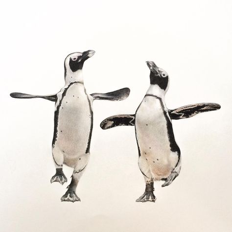 MARTIN AVELING Penguin Drawing Realistic, Penguins Drawing, Wildlife Drawings, Leopard Kitten, Penguin Tattoo, African Penguin, Penguin Drawing, Seahorse Art, Dancing Animals