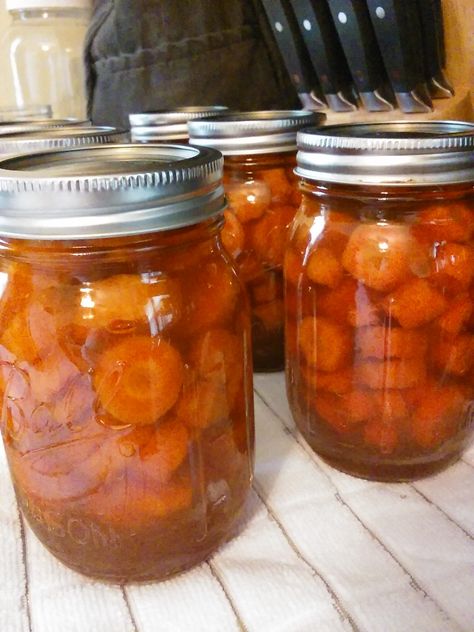 Canned Candied Carrots Recipe, Bottled Carrots Recipe, Candied Canned Carrots, Pressure Canned Carrots, Glazed Canned Carrots Recipe, Preserving Carrots Canning Recipes, Canning Candied Carrots, Can Carrots Recipe, Dry Canning Carrots