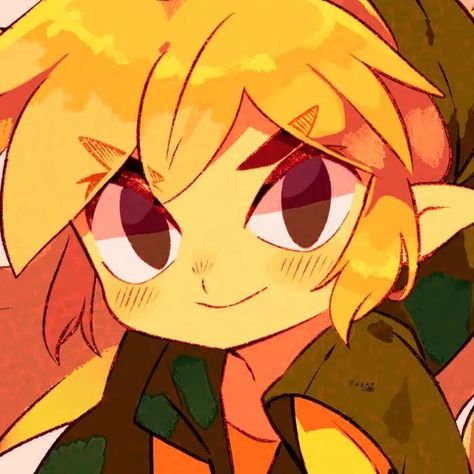 Matching Legend Of Zelda Pfps, Mipha And Link Matching Icons, Loz Matching Icons, Tloz Matching Pfp, Legend Of Zelda Matching Icons, Link Pfp Aesthetic, Legend Of Zelda Link Pfp, Link X Sidon Matching Icons, Zelink Pfp