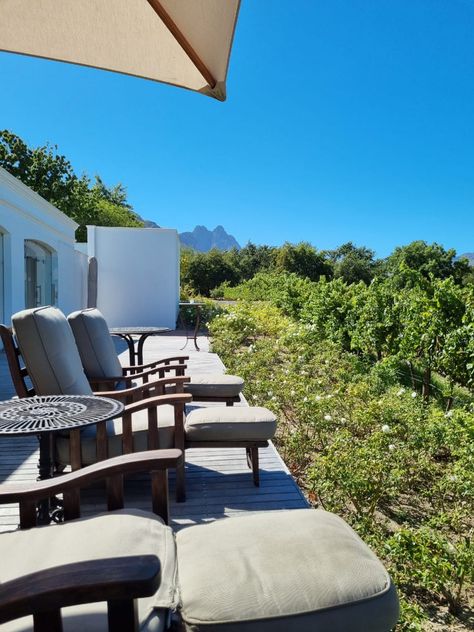 Winelands
Spa
Luxury
Summer
Vineyards Stellenbosch South Africa, Sun Lounger, South Africa, Cape, Outdoor Furniture, Wine, Outdoor Decor, Travel, Furniture