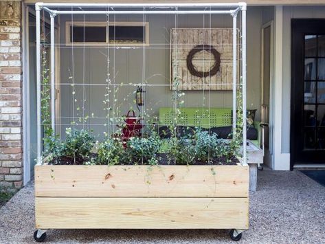 Learn how to build a mobile planter box with a built-in trellis. It's perfect for a small deck or patio, and once your plants grow big and tall, the trellis can also serve as a privacy screen. Building A Trellis, Diy Planters Outdoor, Planter Trellis, Diy Planter Box, Retractable Canopy, Raised Planter, Canopy Outdoor, Diy Planters, Outdoor Planters