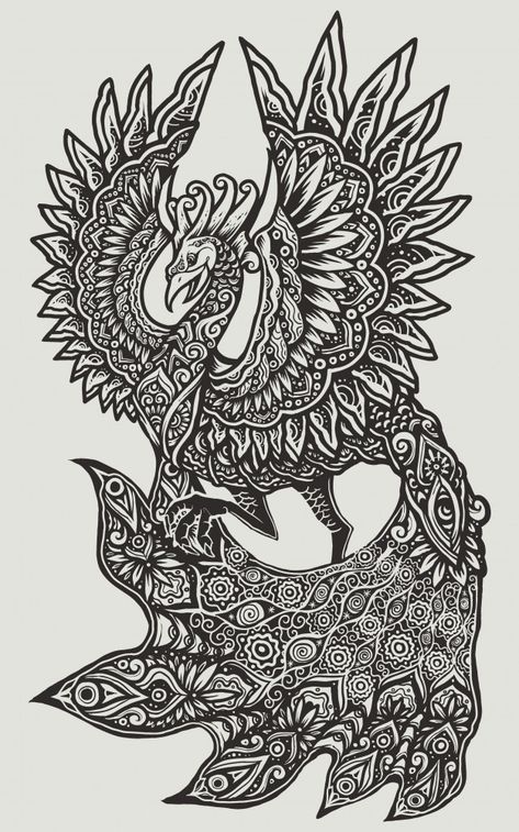 Phoenix Peacock, Mandala Line Art, Bird Mandala, Mandala Illustration, Line Art Style, White Mandala, 6th Grade Art, Marilyn Monroe Art, Silhouette Design Studio