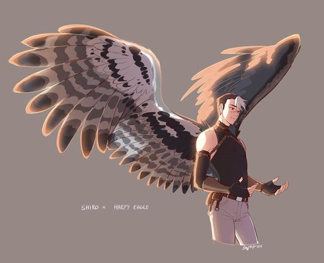 Pinterest Character With Wings, Wings Fanart, Human Wings, Winged People, Takashi Shirogane, Shiro Voltron, Bird People, Wings Drawing, Form Voltron