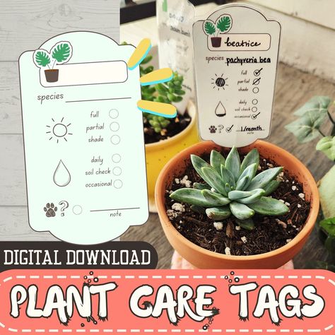 Printable Plant Care Tags, 6 Designs, Fillable Plant Instruction Labels, Plant Lover Gift Ideas, DIGITAL DOWNLOAD - Etsy Plant Care Tags, Housewarming Gift Ideas, Plant Tags, Plant Labels, Indoor Herb Garden, Herbs Indoors, Plant Lover Gift, Diy Crafts For Gifts, Green Nature