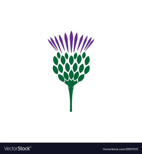 Thistle Illustration Simple, Diversity Logo, Thistle Logo, Thistle Flower, Scottish Thistle, Club Logo, Milk Thistle, Flower Logo, Soccer Club