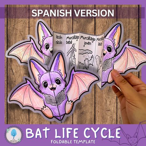 Bat life cycle craft, SPANISH version. Explore the intriguing life cycle of a bat with this interactive foldable activity! This science craft is ideal for diving deeper into bat studies, or it can be used for Halloween crafts, as an interactive science notebook, or within a spooky creatures unit. BENEFITS OF THIS ACTIVITY: 🦇 Enhances Bat Biology Knowledge: Hands-on learning about bat life cycles, enriching kids' understanding of wildlife through interactive unit study. 🦇 Boosts Fine Motor Skil Bat Science Activities, Bat Habitat, Bats Science, Life Cycle Craft, Science Notebook, Science Crafts, Interactive Science, Interactive Science Notebook, Science Curriculum