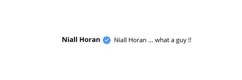 Niall Horan Twitter, One Direction Headers, Niall One Direction, Carrd Icons, Layout Twitter, Carrd Stuff, One Direction Wallpaper, Twitter Layout, Hello Lover