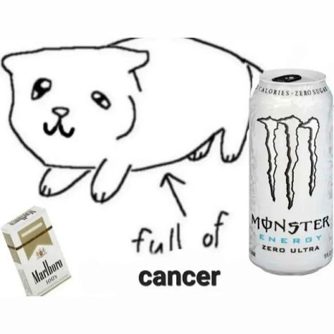 Monster Energy Pfp, Monster Drink, Monster Energy Aesthetic, Energy Drink Aesthetic, White Monster Energy Aesthetic, Monster Energy Drinks, Monster Drinks Aesthetic, Cat With Monster Energy, Aesthetic Monster Energy