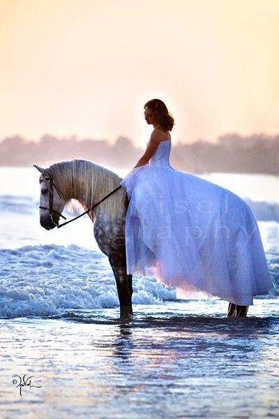 the amount I would love to have this as one of my wedding photos is a lot...... Horse Photoshoot, Riding A Horse, Future Ideas, Horse Photography, Horse Love, 인물 사진, Wedding Pics, A Horse, Beautiful Lights