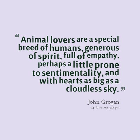 Quotes About Humans And Animals. QuotesGram by @quotesgram Animal Lover Quotes, Empathy Quotes, Vegan Quotes, Quotes By Authors, Animal Quotes, Dog Quotes, Animal Lovers, Famous Quotes, Great Quotes