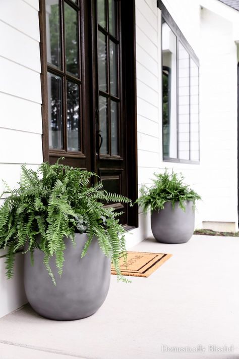 DIY Faux Concrete Pot Planters - Domestically Blissful Diy Planters Pots, Modern Planters Outdoor, Diy Planters Outdoor, Front Porch Planters, Deck Planters, Diy Concrete Planters, Porch Planters, Concrete Pots, Outdoor Pots