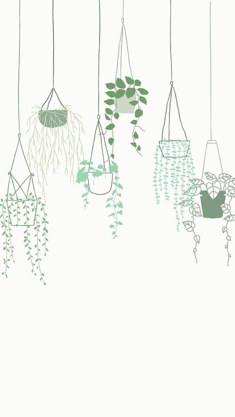 Green potted hanging plant vector background | free image by rawpixel.com / marinemynt Quote Instagram Story, Plant Cartoon, Plant Doodle, Quote Instagram, Cactus Vector, Wallpaper Background Design, Doodle Background, Plant Background, Plant Vector