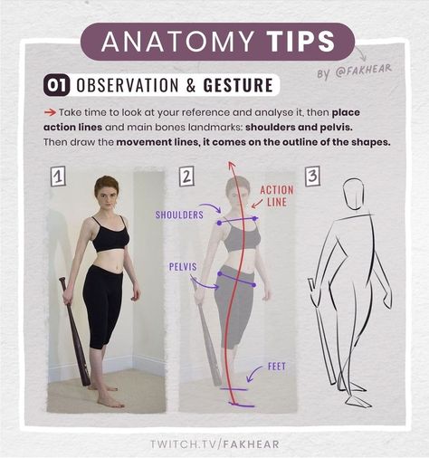 How To Draw Anatomy, Draw Anatomy, Human Anatomy Drawing, Drawing Examples, Art Basics, Human Anatomy Art, Anatomy Sketches, Anatomy For Artists, Anatomy Study