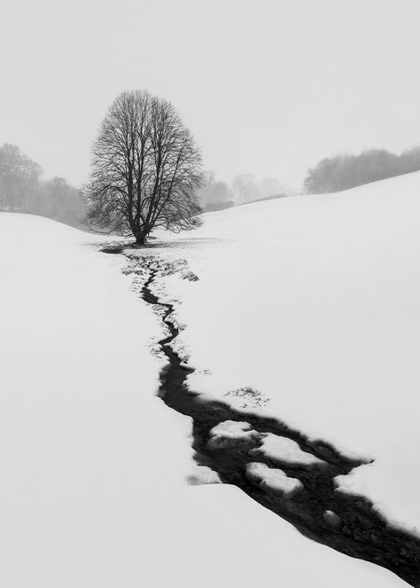 Winter Landscape Photography, Watercolor Art Landscape, Infrared Photography, Winter Schnee, Theme Nature, Fine Art Landscape Photography, Photography Themes, Winter Watercolor, Devon England