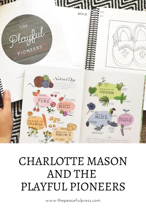 Playful Pioneers Curriculum, Morning Rhythm, Classical Classroom, Micro School, Playful Pioneers, Charlotte Mason Preschool, Homeschool Guide, Peaceful Press, Homeschool Curriculum Planning