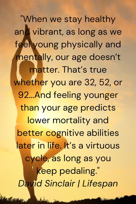 Check out these 11 David Sinclair Lifespan quotes that offer key insights into his longevity research about maintaining youthful function at any age. #davidsinclair #Lifespan #longevity #bookquotes #theroadtakento Longevity Quotes Inspirational, Longevity Quotes, Age Doesnt Matter, David Sinclair, Feel Younger, Literary Quotes, How To Stay Healthy, Book Quotes, Words Of Wisdom