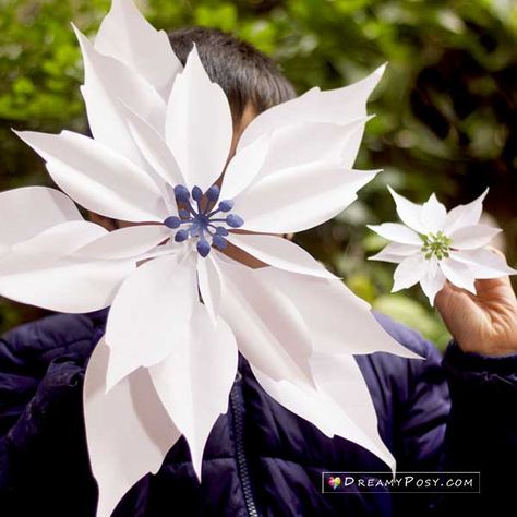 Paper Large Poinsettia tutorial and template. Quick and easy. Paper Poinsettia, Paper Flower Wall Decor, Rose Tutorial, Crepe Paper Flowers, Floral Tape, Poinsettia Flower, Cut Out Shapes, Tissue Paper Flowers, Giant Paper Flowers