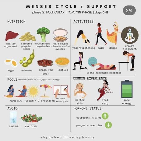 Food Cycle, Hormone Nutrition, Cycling Food, Period Blood, Womb Healing, Cycle Syncing, Nutrition Activities, Fertility Health, Healthy Hormones