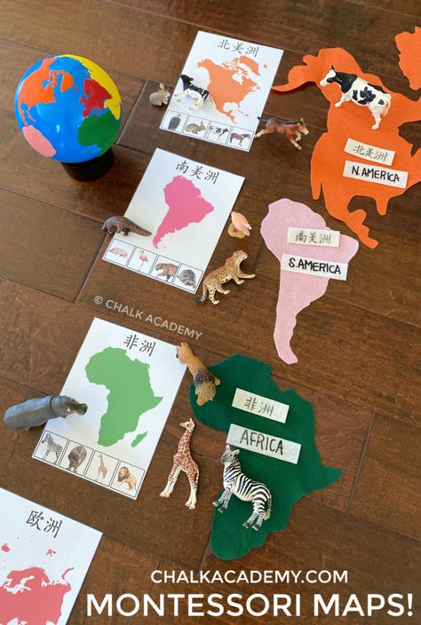 My Country Kindergarten Activities, Continents Activities, Easy Learning Activities, World Animal Day, Country Study, Around The World Theme, Montessori Geography, Maluchy Montessori, Geography Activities