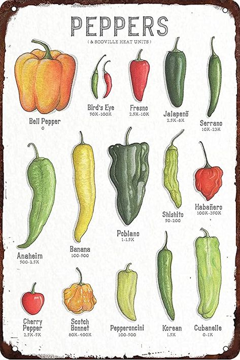 Types Of Peppers, Kitchen Wall Decor, Kitchen Wall, Peppers, Metal Signs, Science, Heat, Wall Decor, Signs