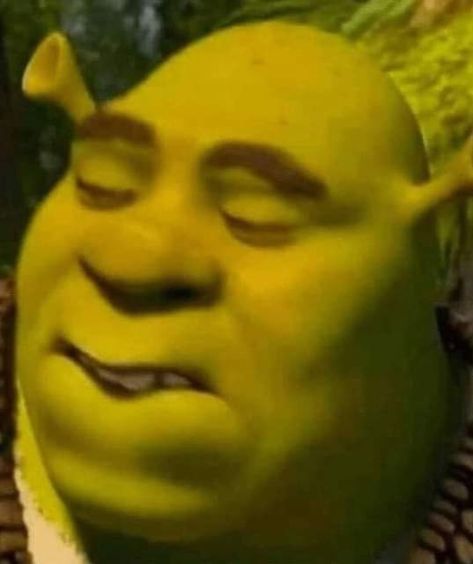 Shrek Funny, Shrek Memes, Current Mood Meme, Funny Pix, Reaction Face, Funny Profile, Jokes Pics, 웃긴 사진, Cartoon Memes