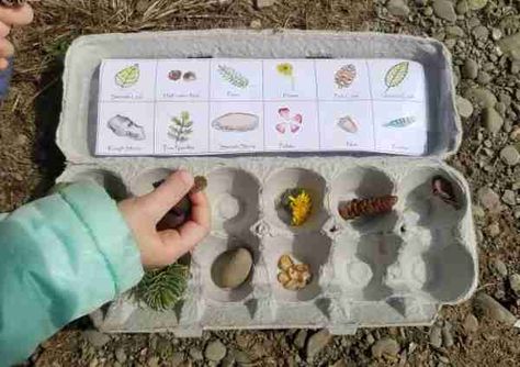 Nature Crafts Kids, Forest Kindergarten, Montessori Kindergarten, Nature Scavenger Hunt, Forest School Activities, Diy Preschool, Montessori Diy, Kindergarten Art Projects, Nature School