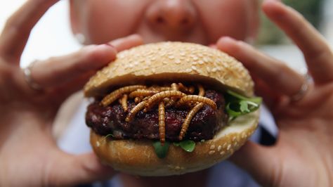 #30SecondsToKnow: Why You Should Start Eating Insects Now (Seriously) Edible Insects, Gross Food, Vegetarian Options, Mini Muffins, Ants, Grocery Store, Bugs, Amsterdam, Insects