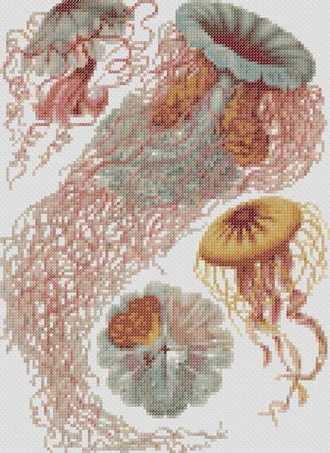 This colorful jellyfish pattern is based on an image from Ernst Haeckels book, Art Forms in Nature. *This listing is for a pattern ONLY* The pattern is 113w x 155h stitches, which will make for a finished piece that is 7.06in x 9.68in on 16ct Aida cloth. Feel free to make this using Cross Stitch Jellyfish, Jellyfish Cross Stitch, Art Forms In Nature, Cross Stitch Pattern Free, Forms In Nature, Cross Stitch Vintage, Colorful Jellyfish, Natural Form Art, Diy Broderie