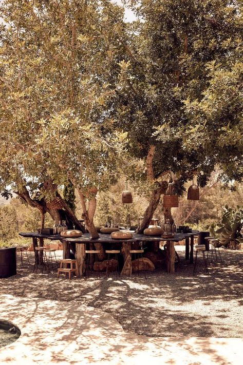 Hotel with a History: A Landscape of Sun and Stone at La Granja Ibiza - Gardenista Restored Farmhouse, Pool Diy, Mediterranean Landscaping, Garden Cafe, Outside Living, Outdoor Restaurant, Menorca, Hotels Design, Backyard Patio