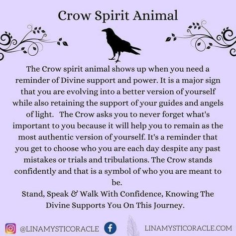 Crow Spirit Animal Meaning, Spirit Animal Crow, 1 Crow Meaning, Crow Animal Spirit, Crow Omen Meaning, Crow Cawing Meaning, Crow Sightings Meaning, Two Crows Meaning, 3 Crows Spiritual Meaning