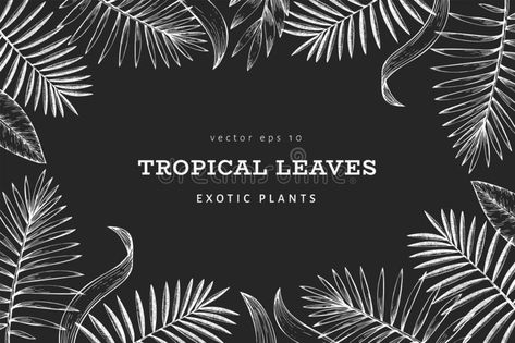 Tropical plants banner design. Hand drawn tropical summer exotic leaves illustration on chalk board. Jungle leaves, palm leaves. Engraved style. Retro vector illustration Luau Decorations, Retro Vector Illustration, Leaves Illustration, Tropical Summer, Chalkboard Art, Chalk Art, Exotic Plants, Tropical Leaves, Tropical Plants