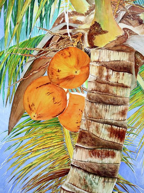 Coconut Tree Drawing, Beetle Art, Watercolor Paintings Nature, Tropical Painting, Tree Sketches, Caribbean Art, Hawaiian Art, Leaf Drawing, Up Close And Personal