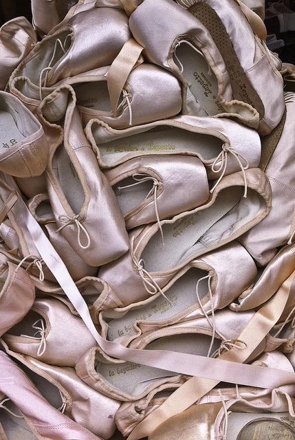 Pointe Pointe Shoes, Ballet Shoes, Ballet