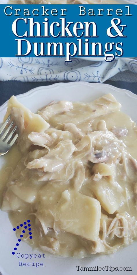 Food Recipes For Family Dinner, Chicken N Dumplings Homemade, Chick3n And Dumplings, Chicken And Dumplings Dough Recipe, Simple Chicken And Dumplings Recipes, Easy Southern Recipes Dinners, How To Make Homemade Dumplings For Chicken And Dumplings, Southern Chicken And Dumplings Crockpot, Chicken Dumplings Cracker Barrel