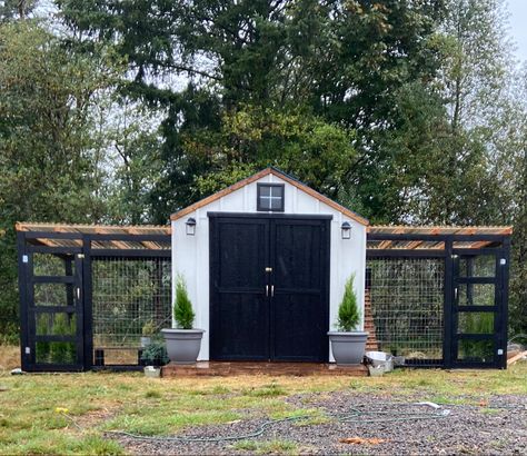 Green House With Chicken Coop, Big Chicken Coop Designs, Spanish Style Chicken Coop, Chicken Coop Farmhouse Style, Corner Chicken Coop Ideas, Garden Shed Chicken Coop Ideas, Small Modern Chicken Coop, L Shaped Chicken Coop, Chicken Coop In Garden Ideas