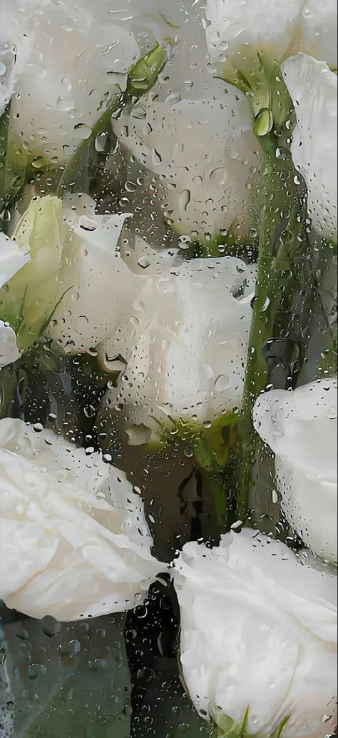 Wet Flowers Wallpaper, Wet Flowers, Rainy Wallpaper, Japanese Wallpaper, Japanese Wallpaper Iphone, Wallpaper Estetika, Flower Wallpapers, Floral Wallpaper Phone, Flower Iphone Wallpaper