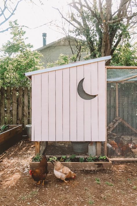 Decorating Chicken Coop, Diy Outdoor Deck, Chicken Coop Wire, Chicken Ladder, Fence Diy, Small Chicken Coops, Chicken Coop Decor, Eggs For Breakfast, Chicken Waterer