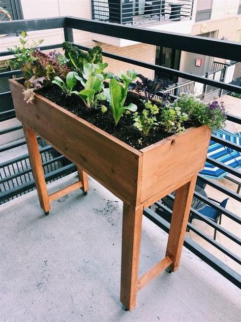 Space-Saving Balcony Decoration Ideas with Planter Box - Unique Balcony & Garden Decoration and Easy DIY Ideas Balcony Planter Boxes, Indoor Planter Box, Apartment Patio Gardens, Diy Garden Bed, Raised Garden Planters, Raised Planter Boxes, Balcony Planters, Outside Plants, Vegetable Garden Raised Beds