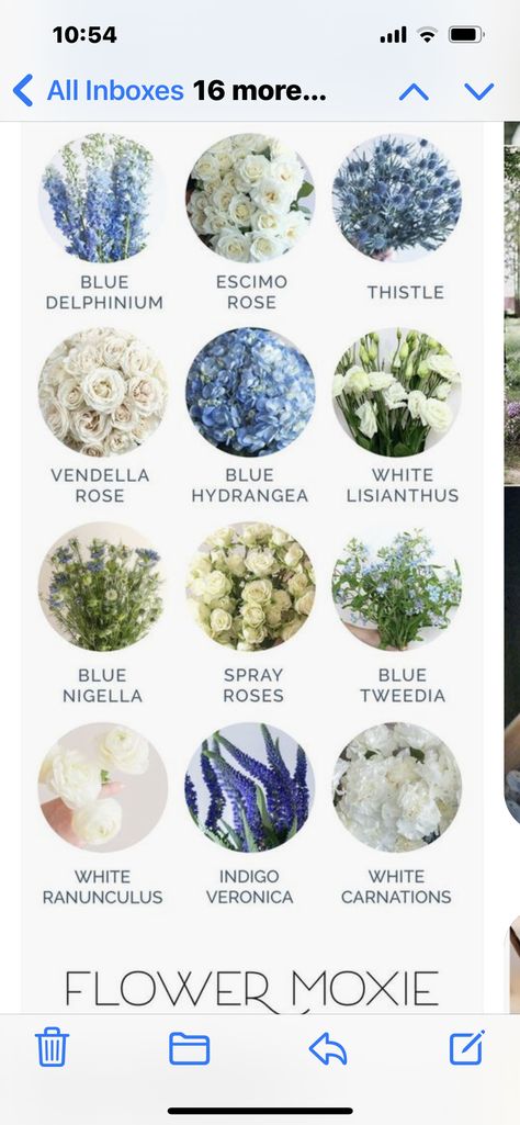 Wedding Flowers With Blue Hydrangeas, Light Blue Wedding Flowers Centerpiece, Steel Blue And White Wedding, Types Of Blue Flowers For Wedding, Classy Blue Wedding Theme, Blue And White Flowers For Wedding, Blue White Sage Wedding, Outdoor Wedding Blue Theme, Bridgerton Inspired Wedding Flowers