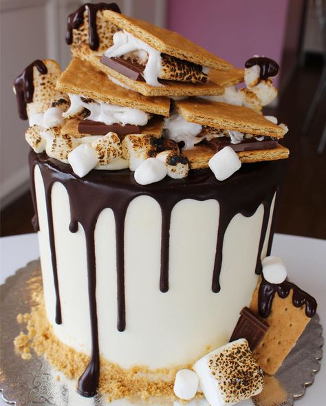 S’more Cake Ideas, Campfire Cake Ideas, Smore Love Adoption Party, S'mores Birthday Cake, Cakes And Treats, S’mores Cake Birthday, Camping Themed Cake Ideas, S’mores Wedding Cake, Smores Layer Cake