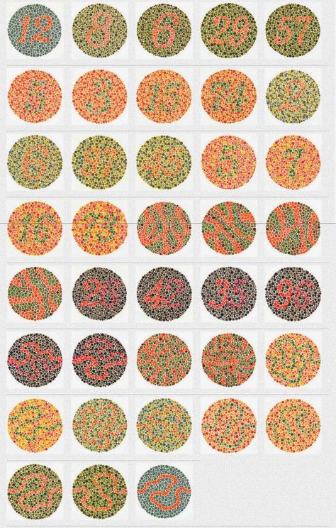 Color Blind Test, Color Vision Deficiency, Science Project Models, Colour Blind, Blind Test, Eye Facts, Test Image, Color Vision, 5 Senses