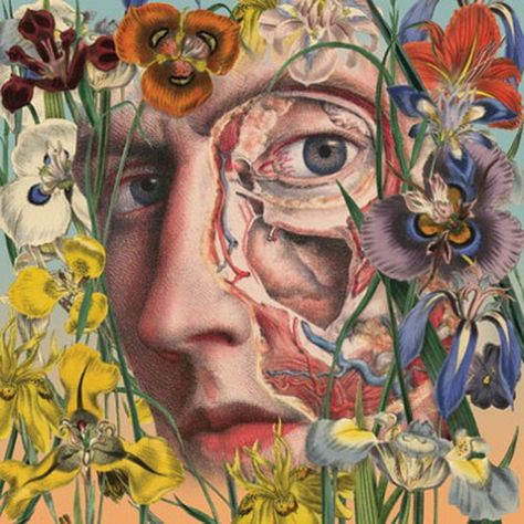 Awesome Anatomical Collages by Juan Gatti | Cuded Art Du Collage, Art Perle, Medical Art, Gcse Art, Art Et Illustration, A Level Art, Ap Art, Anatomy Art, Science Art