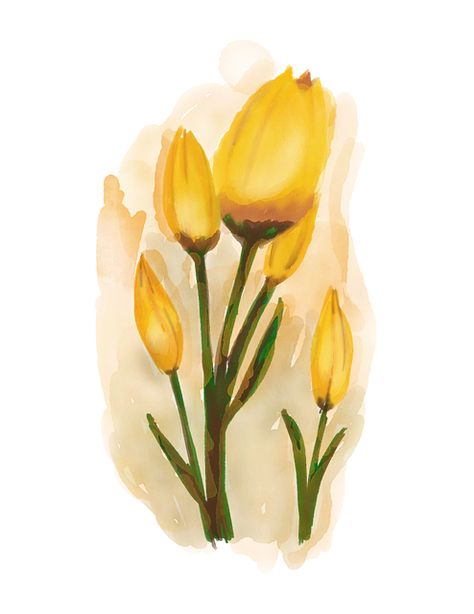 Watercolor Tulips, Watercolour Flowers, Flowers Yellow, Free Illustration, Yellow Flower, Free Illustrations, Free Pictures, Image Types, Image Illustration