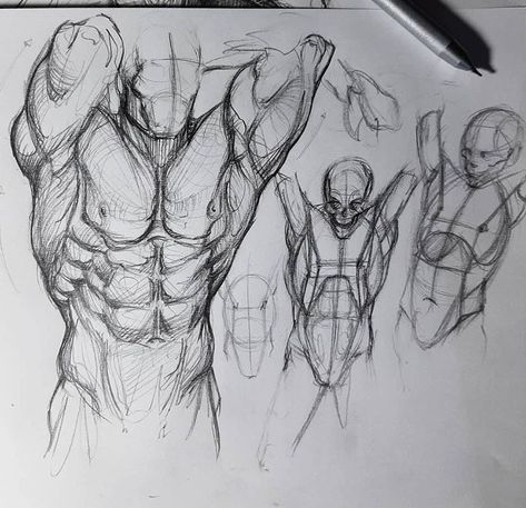 Male Back Drawing Tutorial, How To Draw Male Shoulders, Male Figures For Drawing, Male Arms Anatomy, Male Body Figure Sketch, Human Muscles Anatomy, Muscle Man Drawing, Male Anatomy Sketch, Male Anatomy Reference Models