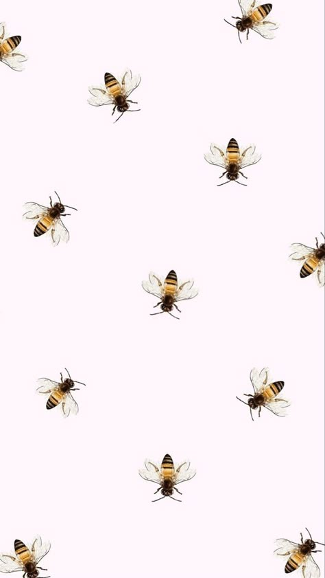 Bee Iphone Wallpaper, Honey Bee Aesthetic Wallpaper, Bee Wallpaper Aesthetic, Honeybee Aesthetic, Honey Bee Background, Bee Wallpaper, Bee Things, Bee Artwork, Bee Printables