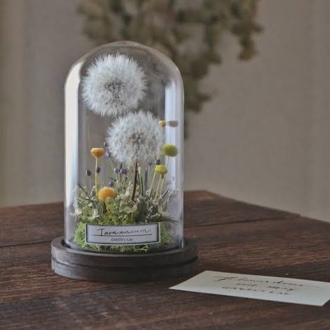 Cloche Decor, نباتات منزلية, Flowers In Jars, Dried Floral, Dried Flower Arrangements, Nature Crafts, Glass Dome, How To Preserve Flowers, Flowers Diy