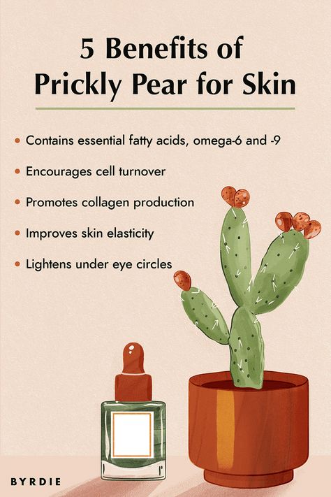 Prickly Pear Oil Benefits, Prickly Pear Recipes, Prickly Pear Oil, Skin Nutrition, Pear Recipes, Undereye Circles, Oil Benefits, Improve Skin Elasticity, Oil Blends