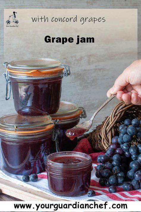 Concord Grapes Recipes, Old Grapes What To Do With, What To Make With Grapes, Grape Recipes Ideas, Concord Grape Recipes, Grape Jam Recipe, Grape Jam, Grape Recipes, Italian Cooking